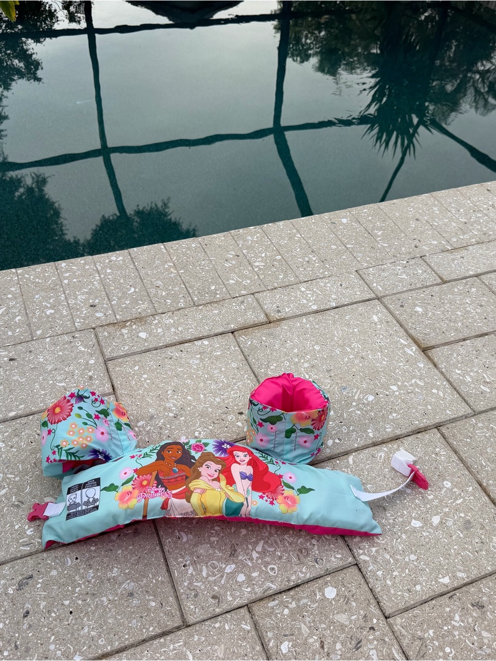 Disney Aqua and Pink Princess Swim Float Set with Floral Print